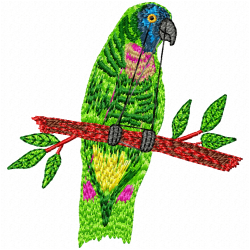 Parrots Embroidery Design 12 Parrots Embroidery Design 12